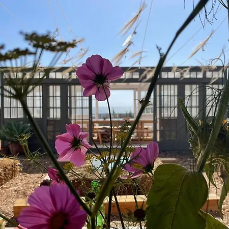 Caso No Campo - Stunning By The Sea Hébergement de vacances *