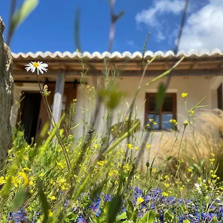 Caso No Campo - Stunning By The Sea Tatil Evi *